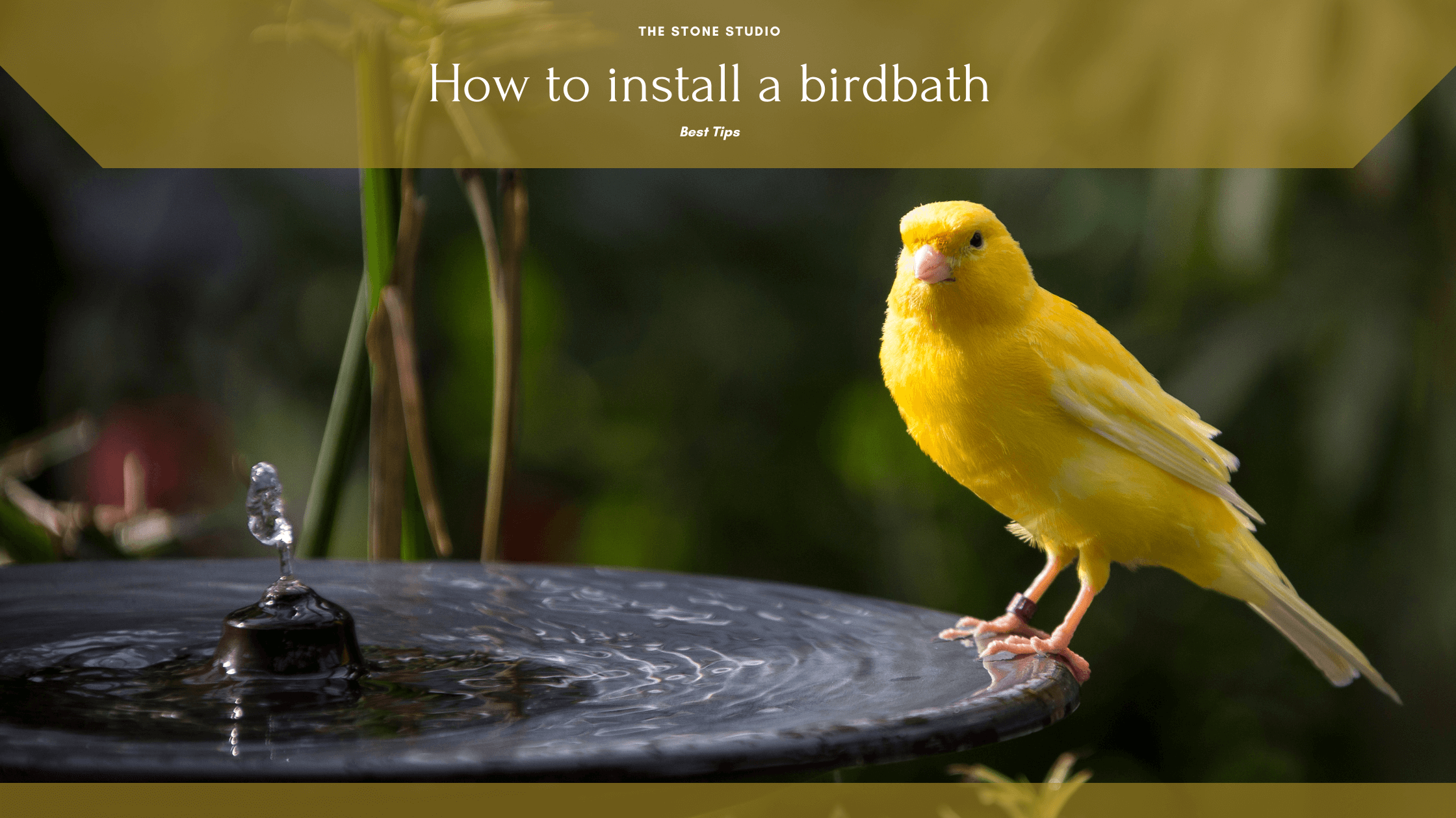 How to install a bird bath
